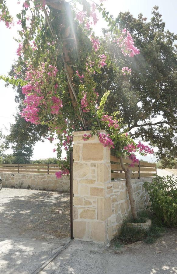 Studio Panagiota - Oasis Holiday Houses Kokkinos Pyrgos Exterior foto